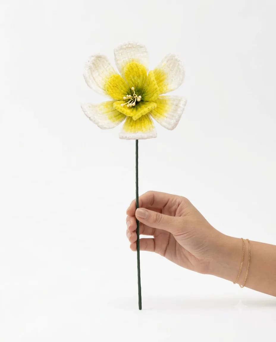 Daffodil