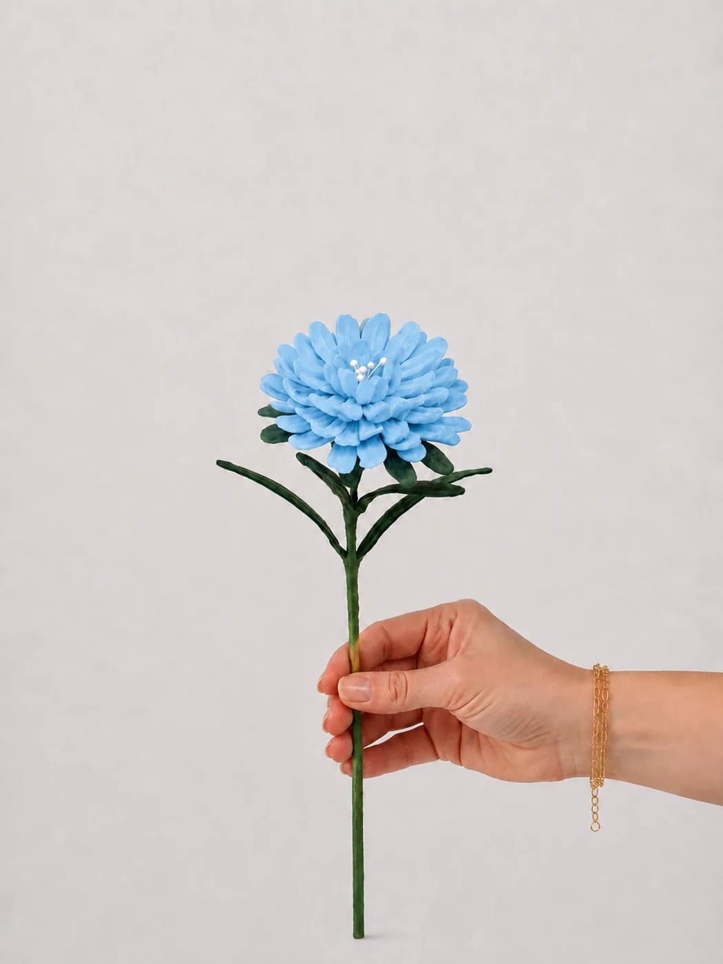 Simple Gerbera