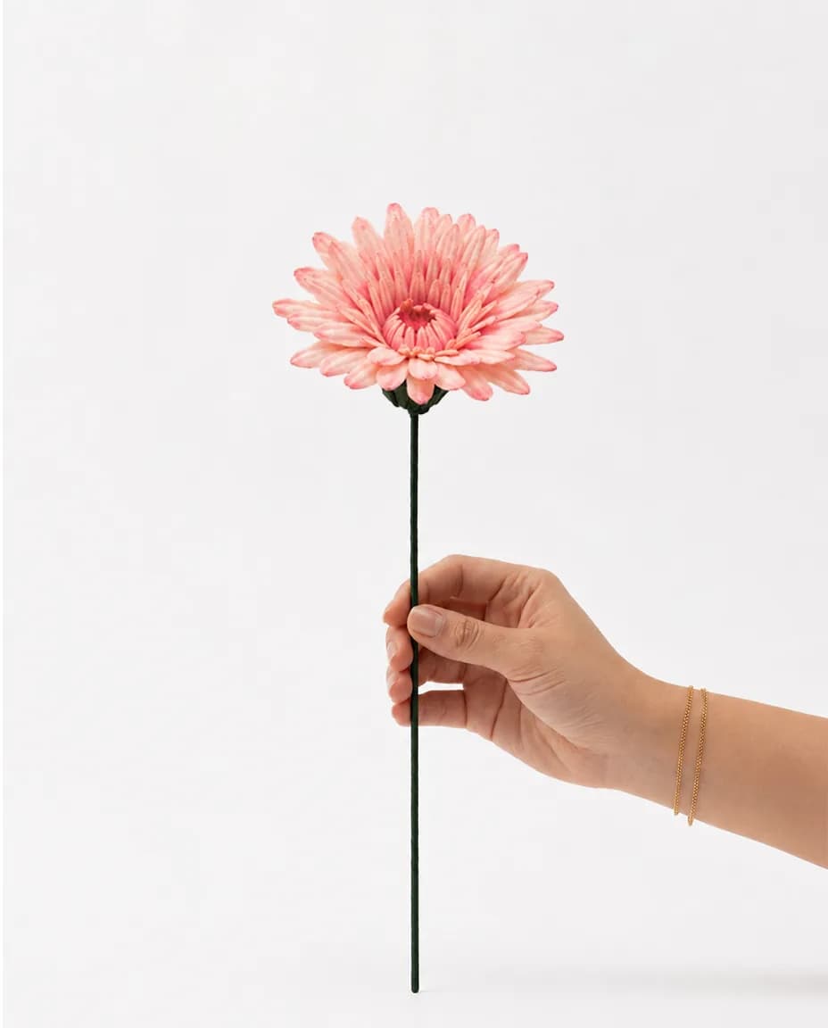 Gerbera Daisy