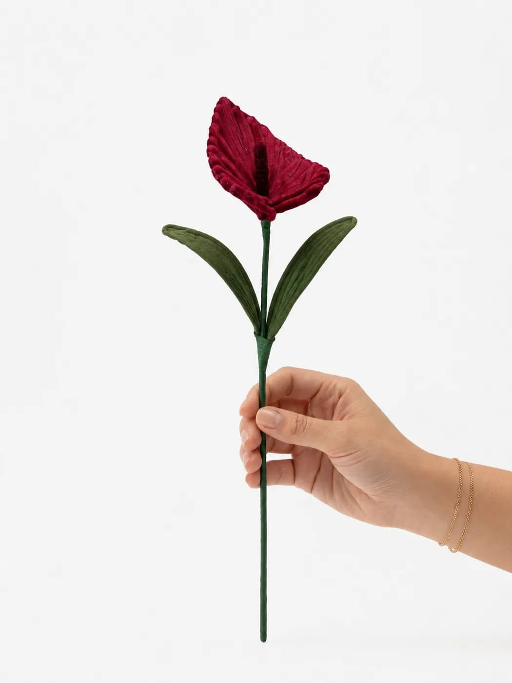Calla Lily — Colour 1