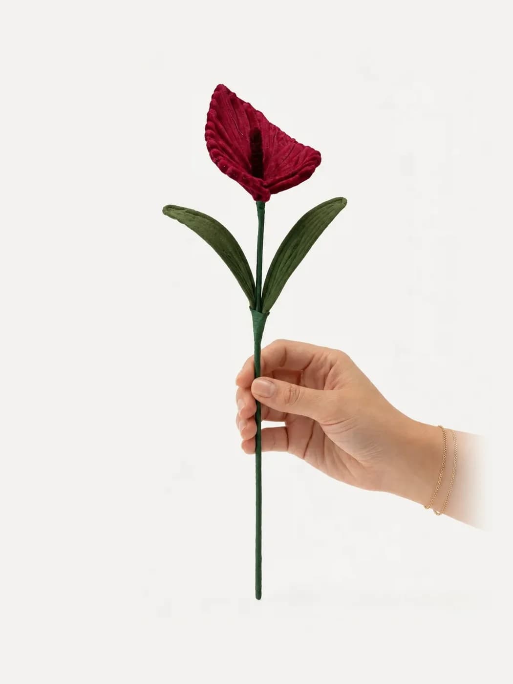 Calla Lily