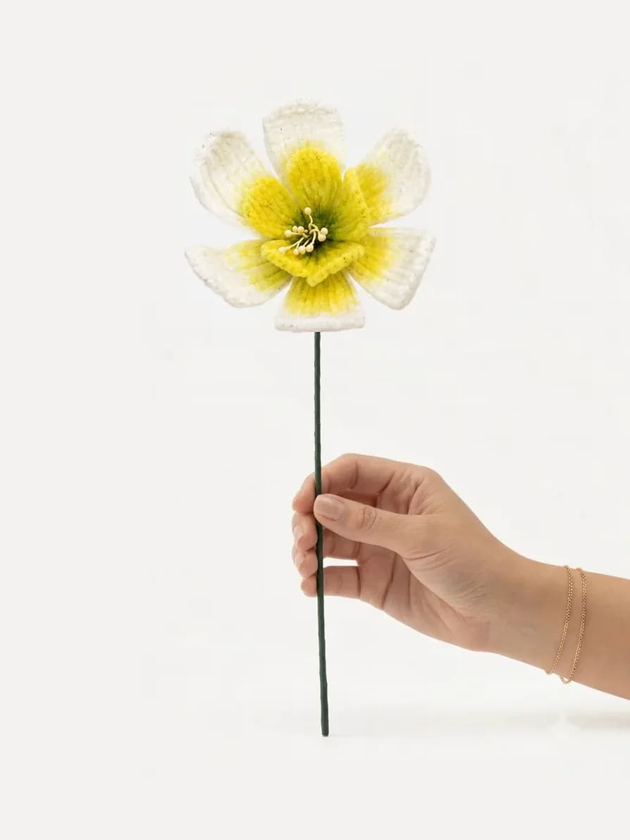 Daffodil