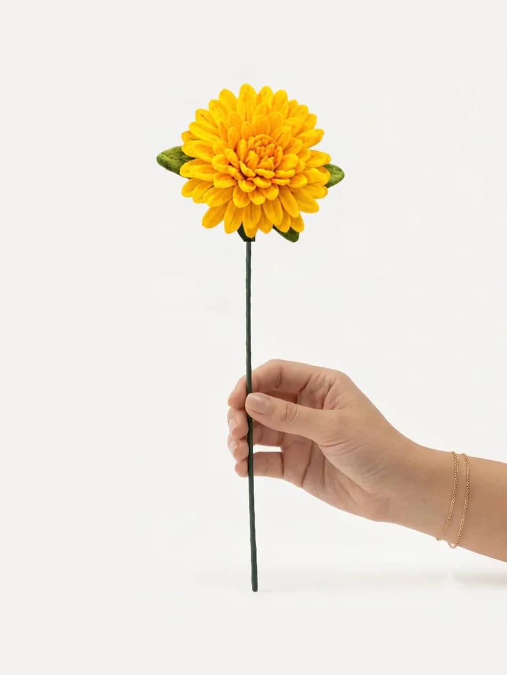 Dahlia