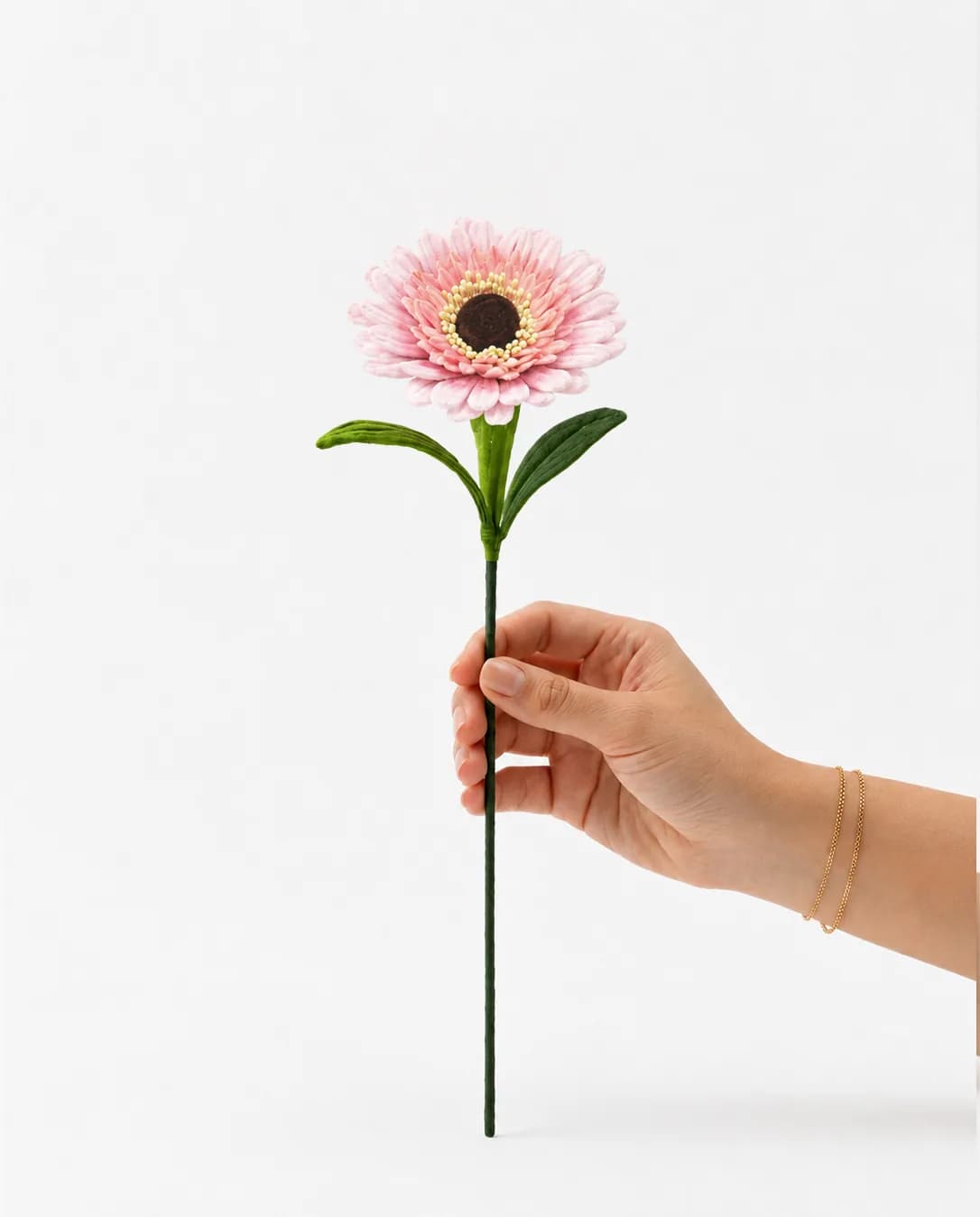 Gerbera