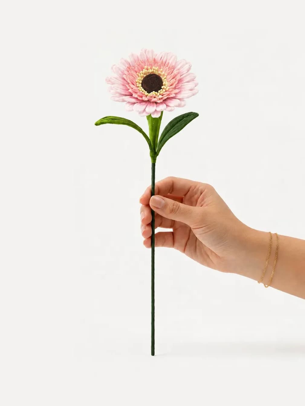 Gerbera