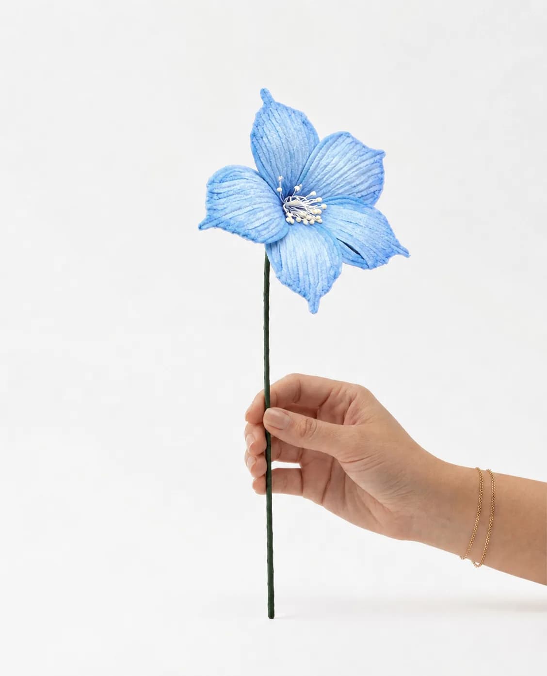 Hibiscus — Colour 1