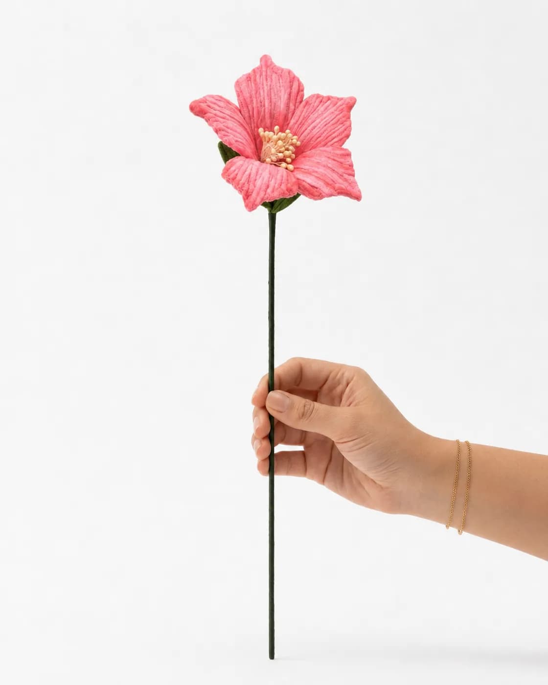 Pointy Hibiscus — Colour 1