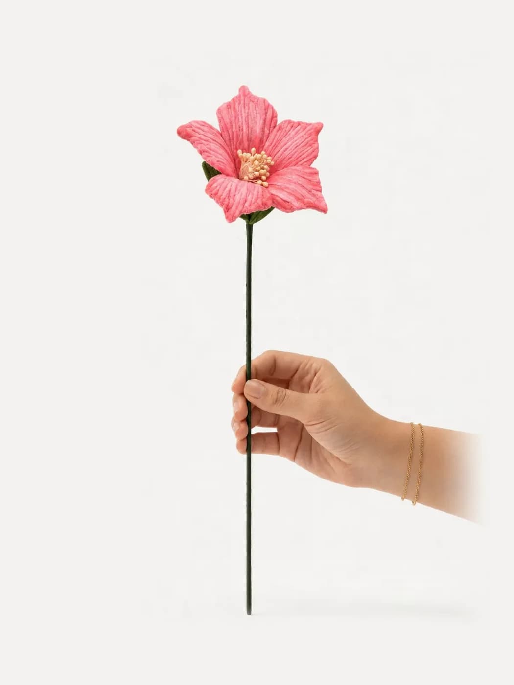 Pointy Hibiscus