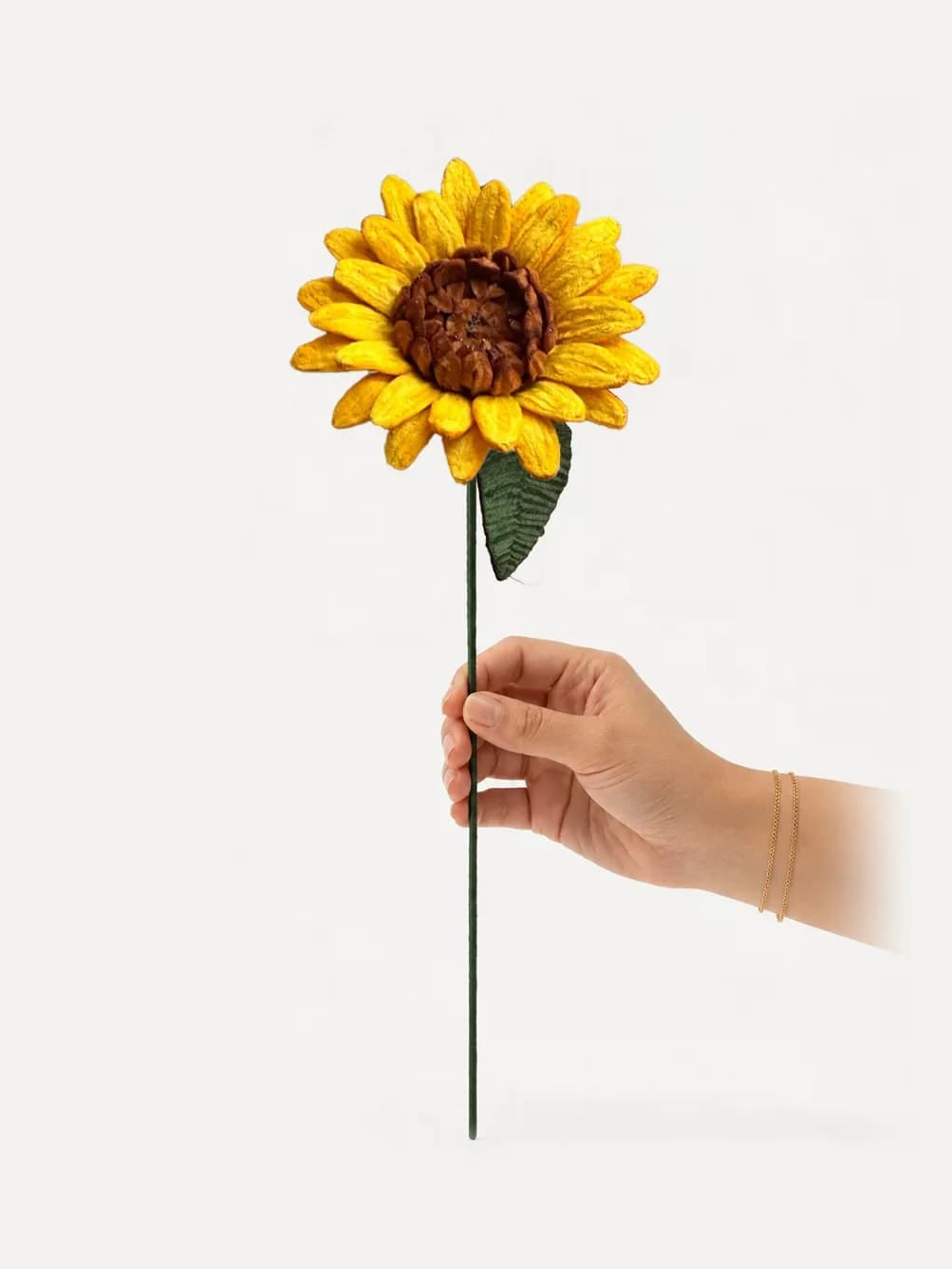 عباد شمس