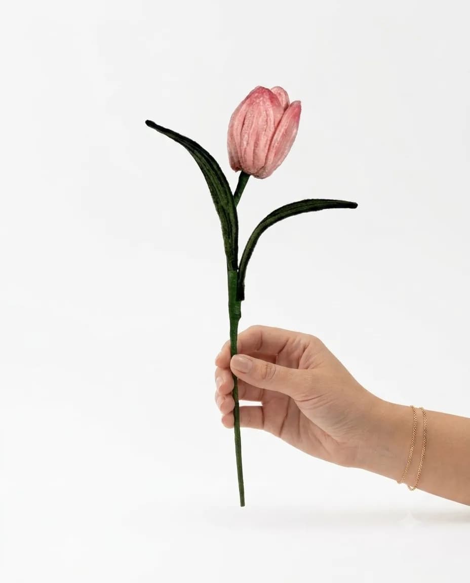 Tulip