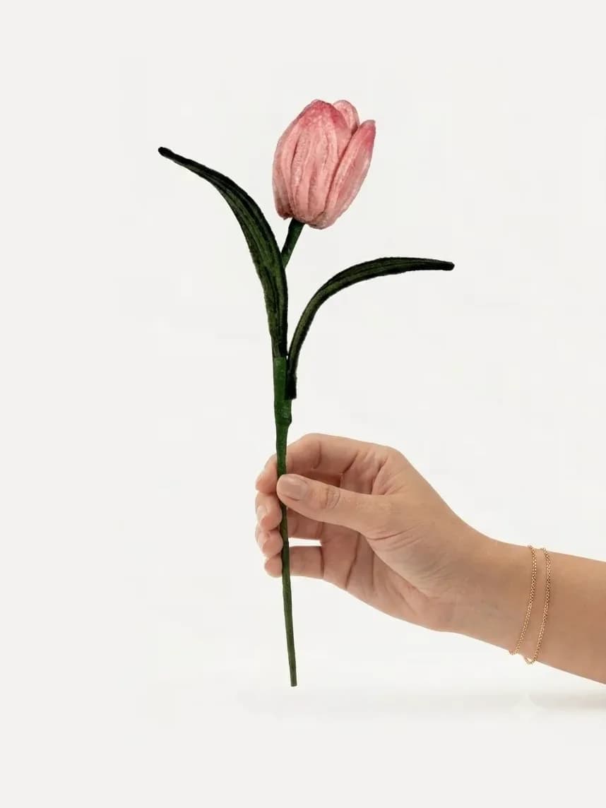 Tulip