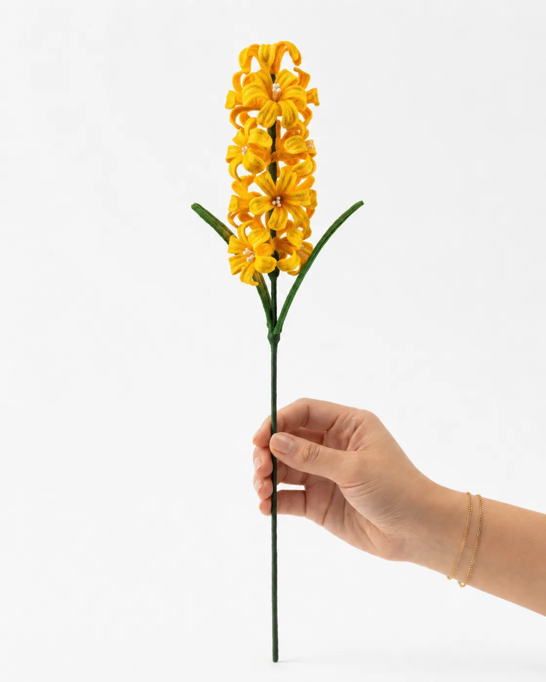 Hyacinth