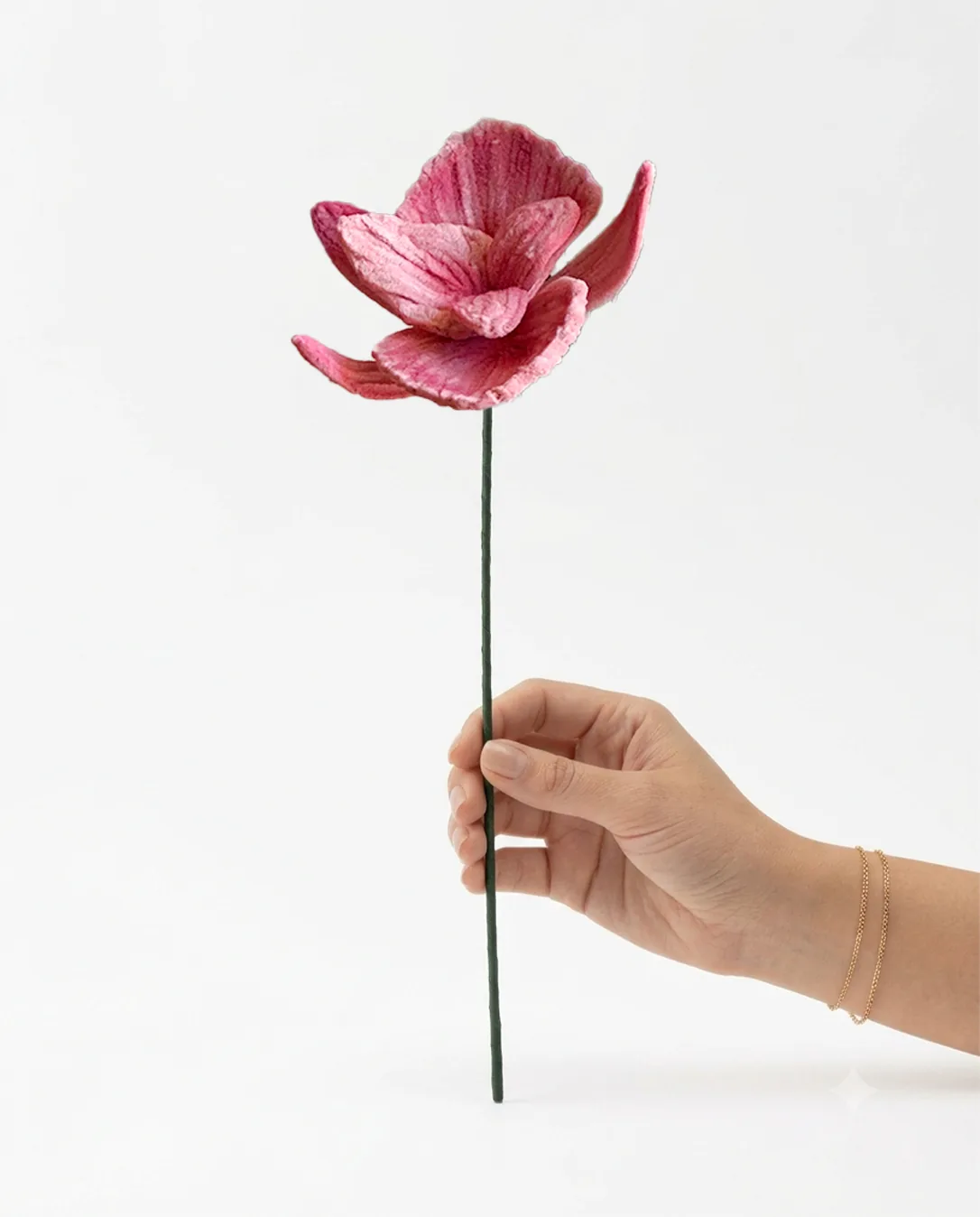 Modern Orchid